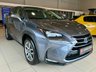 USED 2017 67 LEXUS NX 2.5 300h Luxury SUV 5dr Petrol Hybrid E-CVT 4WD Euro 6 (s/s) (197 ps) 