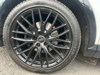 USED 2017 67 AUDI Q3 2.0 TDI Black Edition SUV 5dr Diesel S Tronic quattro Euro 6 (s/s) (184 ps) 