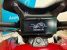 USED 2025 25 DUCATI X DIAVEL V4   