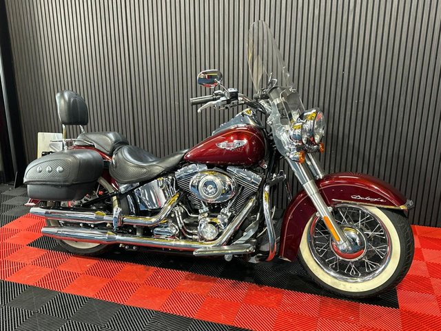 View our HARLEY-DAVIDSON SOFTAIL