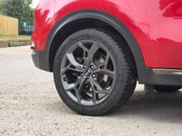 USED 2020 69 KIA SPORTAGE 1.6 T-GDi GT-Line S SUV 5dr Petrol DCT AWD Euro 6 (s/s) (174 bhp) FSH|LOWOWNERS|6MWARRANTY|ULEZ