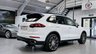 USED 2016 16 PORSCHE CAYENNE 3.0 TD V6 SUV 5dr Diesel TiptronicS 4WD Euro 6 (s/s) (262 ps) 12 MONTHS WARRANTY / 12 MONTHS MOT