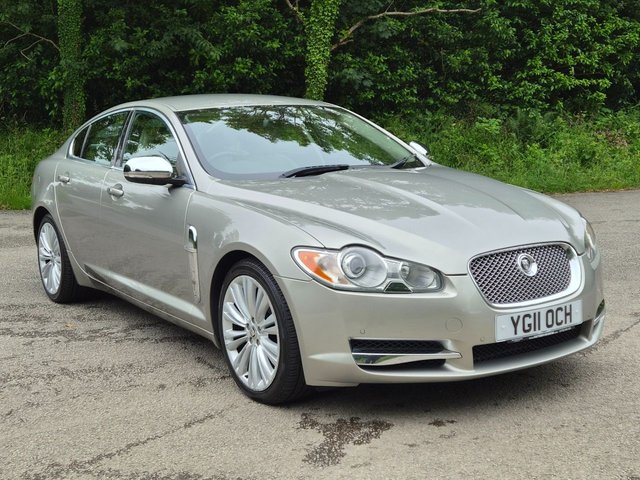 View our JAGUAR XF
