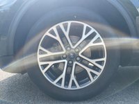 USED 2023 23 FORD KUGA 1.5 TITANIUM 150 