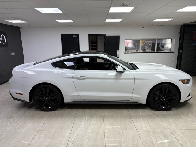 View our FORD MUSTANG