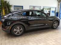 USED 2023 23 FORD MUSTANG MACH-E Standard Range 70kWh SUV 5dr Electric Automatic (269 ps) SAT NAV PARKING CAMERA LEATHER HEATED SEATS HEATED STEERING WHEEL CRUISE CONTROL PARKING SENSORS 1 OWNER SERVICE HISTORY WARRANTY