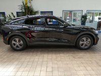 USED 2023 23 FORD MUSTANG MACH-E Standard Range 70kWh SUV 5dr Electric Automatic (269 ps) SAT NAV PARKING CAMERA LEATHER HEATED SEATS HEATED STEERING WHEEL CRUISE CONTROL PARKING SENSORS 1 OWNER SERVICE HISTORY WARRANTY