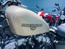 USED 2019 19 HARLEY-DAVIDSON SPORTSTER XL1200X Forty-Eight Hard Candy Custom 1200 Nationwide Delivery &pound;149 - 9.9% APR