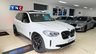 USED 2021 71 BMW IX3 80kWh Premier Edition Auto 5dr PREMED+PANROOF+20S+YNCSTYLING