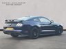 USED 2019 19 FORD MUSTANG 5.0 V8 GT Fastback 2dr Petrol Manual Euro 6 (450 ps) CUSTOM PACK 2 | KONA BLUE