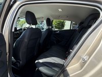 USED 2019 68 FORD FOCUS 1.0T EcoBoost Vignale Hatchback 5dr Petrol Auto Euro 6 (s/s) (125 ps) NORTREE APPROVED  VEHICLE