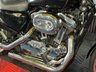 USED 2005 05 HARLEY-DAVIDSON SPORTSTER XL 1200 FINANCE SPECIALISTS APPLY NOW LOW RATE FINANCE DELIVERY AVAILABLE