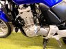 USED 2005 05 HONDA CBF500 499cc Original Example, Un-Molested Great MPG, Low Running Costs