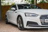USED 2019 V AUDI A5 2.0 TDI 40 S line Coupe 2dr Diesel S Tronic quattro Euro 6 (s/s) (190 ps) 