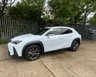 USED 2023 23 LEXUS UX 2.0 250h F Sport Design E-CVT Euro 6 (s/s) 5dr CarPlay,RevCam,Leather