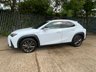 USED 2023 23 LEXUS UX 2.0 250h F Sport Design E-CVT Euro 6 (s/s) 5dr CarPlay,RevCam,Leather