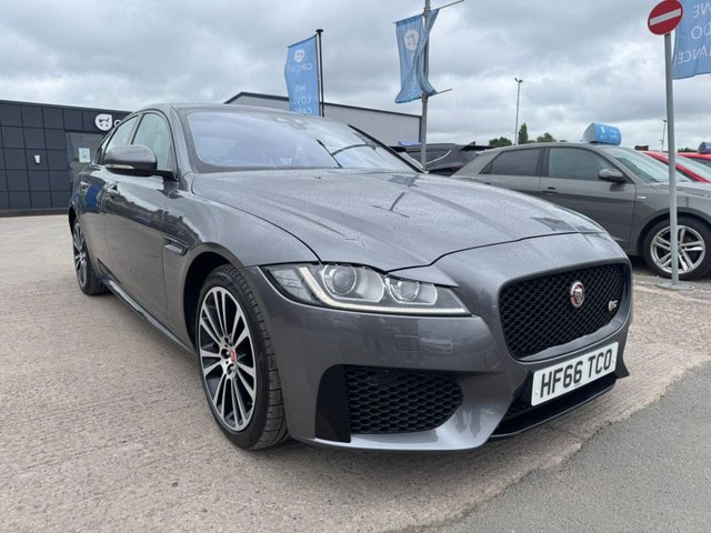 View our JAGUAR XF