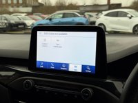 USED 2019 69 FORD FOCUS 2.0 EcoBlue ST Euro 6 (s/s) 5dr HEATED SEATS+STEERING-REV CAM