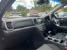 USED 2020 70 KIA SPORTAGE 1.6 CRDi MHEV 2 SUV 5dr Diesel Hybrid DCT Euro 6 (s/s) (134 bhp) (Apple CarPlay - Nav - Heated Seats