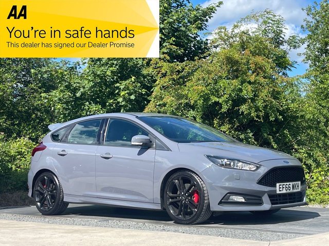 View our FORD FOCUS