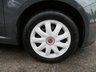 USED 2013 63 FIAT 500 1.2 Colour Therapy Hatchback 3dr Petrol Manual Euro 5 (s/s) (69 bhp) Costing only &pound;35 per year road tax, this lower mileage example comes beautifully maintained with 8 x service records including a new service and detailed inspection on arrival to us. New Cambelt & Waterpump! Sold with a new 12 month MOT. Cheap to insure being only group 7!