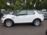 USED 2017 17 LAND ROVER DISCOVERY SPORT 2.0 TD4 SE Tech SUV 5dr Diesel Auto 4WD Euro 6 (s/s) (180 ps) Fanastic value with 7 seats and panoramic roof