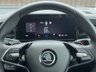 USED 2024 74 SKODA KODIAQ 2.0 TDI SE SUV 5dr Diesel DSG Euro 6 (s/s) (7 Seat) (150 ps) 