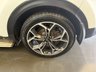 USED 2019 T KIA SPORTAGE 2.0 CRDi EcoDynamics+ GT-Line SUV 5dr Diesel Manual AWD Euro 6 (s/s) (182 bhp) 