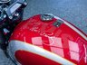USED 2025 25 TRIUMPH BONNEVILLE T120 1200 Elvis Presley Limited Edition 29/925 Euro 5  Nationwide Delivery &pound;149 - 9.9% APR
