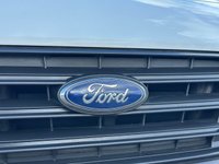 USED 2020 69 FORD TRANSIT CONNECT DOG VAN 1.5 240 EcoBlue Leader Panel Van 5dr Diesel Manual L2 Euro 6 (s/s) (100 ps) 