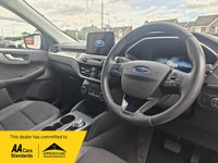 USED 2020 70 FORD KUGA 1.5 EcoBlue Titanium Edition SUV 5dr Diesel Auto Euro 6 (s/s) (120 ps) BANG AND OLUFSEN + CARPLAY