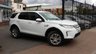 USED 2019 69 LAND ROVER DISCOVERY SPORT 2.0 D150 MHEV S SUV 5dr Diesel Auto 4WD Euro 6 (s/s) (150 ps) 