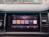 USED 2019 69 SKODA KODIAQ 2.0 TDI Edition SUV 5dr Diesel DSG 4WD Euro 6 (s/s) (7 Seat) (190 ps) 7 SEATS | SUNROOF | LEATHER