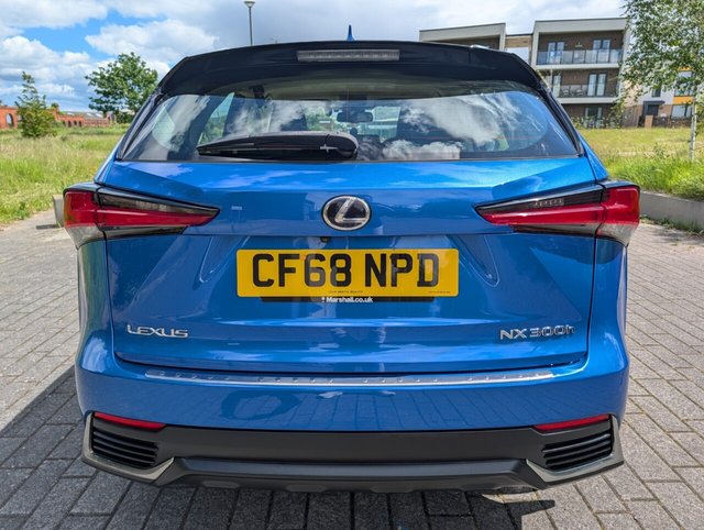 View our LEXUS NX