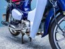 USED 2019 69 HONDA SUPER CUB C125 125 Scooter Petrol Euro 4  Nationwide Delivery &pound;149 - 9.9% APR