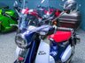 USED 2019 69 HONDA SUPER CUB C125 125 Scooter Petrol Euro 4  Nationwide Delivery &pound;149 - 9.9% APR