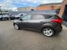 USED 2016 16 FORD FOCUS 1.0T EcoBoost Zetec Hatchback 5dr Petrol Manual Euro 6 (s/s) (125 ps) GREAT EXAMPLE, PRICED LOW FOR OUR Summer SALE FOR A LIMITED TIME ONLY,  HISTORY , CLICK ON FIRST PICTURE TO WATCH VIDEO, SUPER WELL LOOKED AFTER VEHICLE, FULL DEALER FACILITIES, FINANCE AVAILBLE...