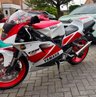 USED 1993 K YAMAHA TZR250 TZR250 SP Beautiful example of very rare TZR250 SP 3XV7