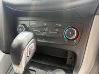 USED 2017 66 FORD FOCUS 1.0T EcoBoost Zetec Hatchback 5dr Petrol Auto Euro 6 (s/s) (125 ps) APPLE CARPLAY - WET BELT DONE