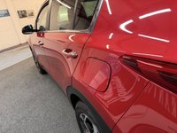 USED 2020 20 KIA SPORTAGE 1.6 GDI ISG 2 FULL HISTORY 7 SERVICES 1 FORMER KEEPER APPLE PLAY ANDROID PRIVACY BLUETOOTH DAB MEDIA CRUISE