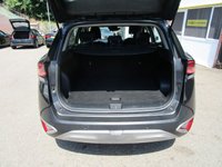 USED 2023 23 KIA SPORTAGE 1.6 T-GDi 2 SUV 5dr Petrol Manual Euro 6 (s/s) (148 bhp) 