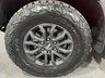 USED 2023 FORD RANGER 3.0T V6 EcoBoost Raptor Pickup Double Cab 4dr Petrol Auto 4WD Euro 6 (s/s) (292 ps) Code Orange - Raptor Pack