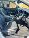 USED 2019 19 KIA SPORTAGE 1.6 CRDi 4 SUV 5dr Diesel DCT Euro 6 (s/s) (134 bhp) 