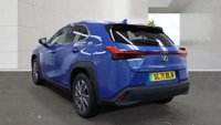 USED 2021 71 LEXUS UX 300e 54.3kWh SUV 5dr Electric Auto (204 ps)+2 KEYS+1 FORMER KEEPER+HISTORY+2 CABLES+PREMIUM PLUS PACK+CLIMATE+PRIVACY+PARK CONTROL WITH CAMERA+FULL LEATHER SEATS+BLUETOOTH+MEDIA+APPS+ALLOYS+ 2 KEYS+1 FORMER KEEPER+HISTORY+2 CABLES+PREMIUM PLUS PACK+CLIMATE+PRIVACY+PARK CONTROL WITH CAMERA+FULL LEATHER SEATS+BLUETOOTH+MEDIA+APPS+ALLOYS+HPI CLEAR