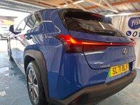 USED 2021 71 LEXUS UX 300e 54.3kWh SUV 5dr Electric Auto (204 ps)+2 KEYS+1 FORMER KEEPER+HISTORY+2 CABLES+PREMIUM PLUS PACK+CLIMATE+PRIVACY+PARK CONTROL WITH CAMERA+FULL LEATHER SEATS+BLUETOOTH+MEDIA+APPS+ALLOYS+ 2 KEYS+1 FORMER KEEPER+HISTORY+2 CABLES+PREMIUM PLUS PACK+CLIMATE+PRIVACY+PARK CONTROL WITH CAMERA+FULL LEATHER SEATS+BLUETOOTH+MEDIA+APPS+ALLOYS+HPI CLEAR
