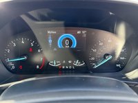 USED 2022 71 FORD FOCUS 1.0T EcoBoost Active Hatchback 5dr Petrol Auto Euro 6 (s/s) (125 ps) 1 OWNER - FULL SERVICE - FULL