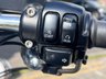 USED 2004 04 HARLEY-DAVIDSON SPORTSTER 1200cc KEPT IN A HEATED SHOWROOM LOW MILES, GREAT CONDITION