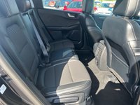 USED 2020 20 FORD KUGA 1.5 EcoBlue Titanium First Edition SUV 5dr Diesel Manual Euro 6 (s/s) (120 ps) 