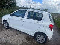 USED 2015 65 SUZUKI CELERIO 1.0 SZ2 Hatchback 5dr Petrol Manual Euro 6 (68 ps) ONLY &pound;20 TAX + GREAT 1ST TIME CAR + LOW INSURANCE GROUP + DAB RADIO + 76.3 MPG + ELECTRIC FRONT WINDOWS + LOW GENUINE MILEAGE + 14' STEEL WHEELS WITH TRIM COVERS & TPMS