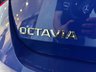 USED 2021 71 SKODA OCTAVIA 2.0 TDI SE L DSG Euro 6 (s/s) 5dr Nav|Sensors|Bluetooth|Cruise